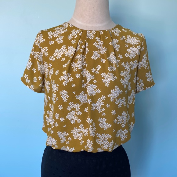 Ann Taylor | Tops | Nwot Ann Taylor Floral Short Sleeve Blouse | Poshmark